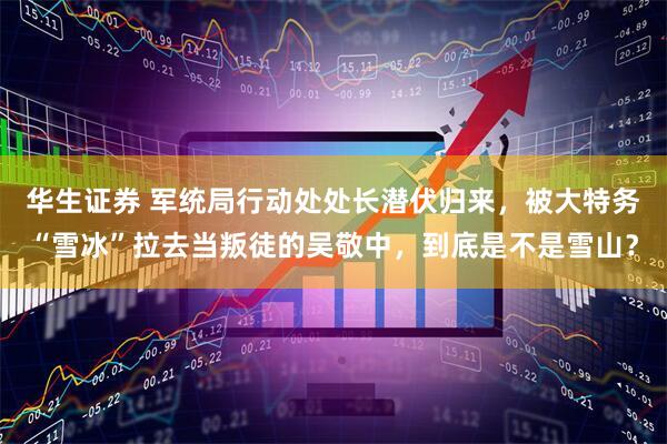 华生证券 军统局行动处处长潜伏归来，被大特务“雪冰”拉去当叛徒的吴敬中，到底是不是雪山？