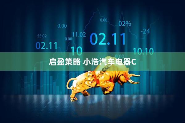 启盈策略 小浩汽车电器C