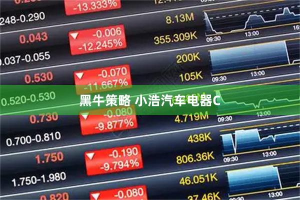 黑牛策略 小浩汽车电器C