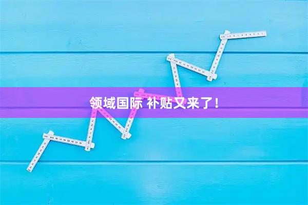 领域国际 补贴又来了！