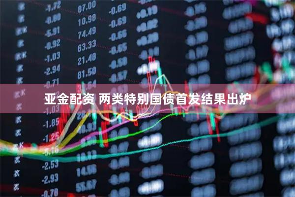 亚金配资 两类特别国债首发结果出炉
