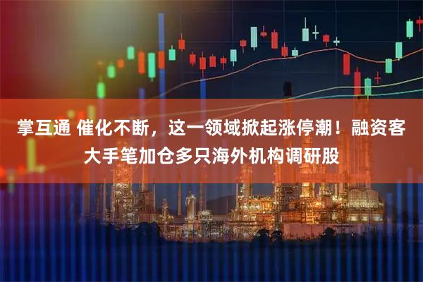 掌互通 催化不断，这一领域掀起涨停潮！融资客大手笔加仓多只海外机构调研股
