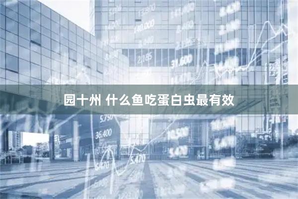 园十州 什么鱼吃蛋白虫最有效