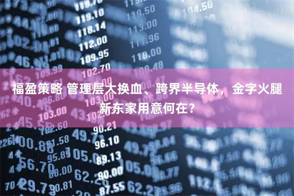 福盈策略 管理层大换血、跨界半导体，金字火腿新东家用意何在？